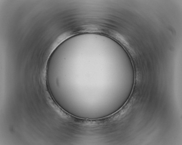 X0000112721378200909031408