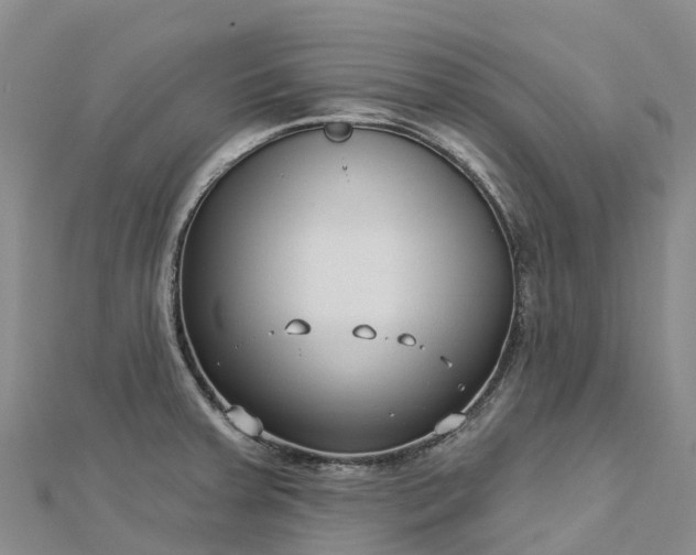 X0000112721379200909031408