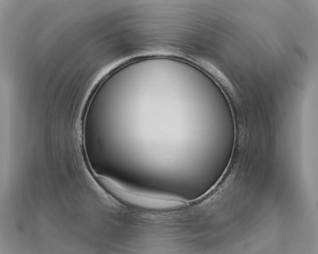 X0000112721380200909031408