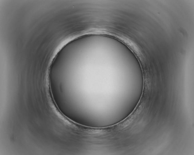 X0000112721382200909031408