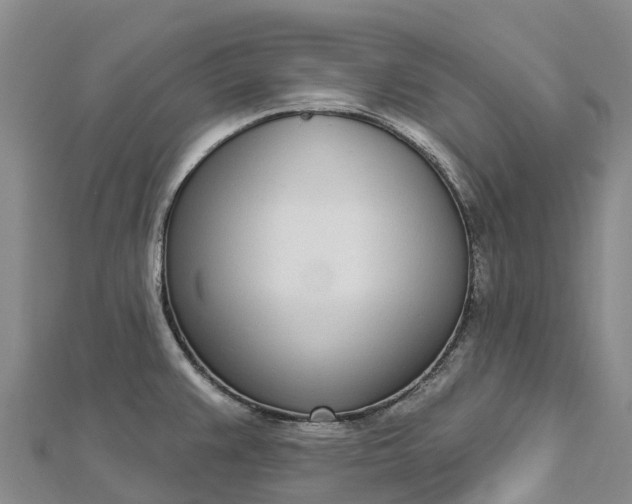 X0000112721383200909031408