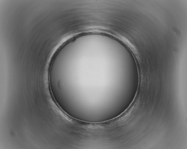 X0000112721384200909031408