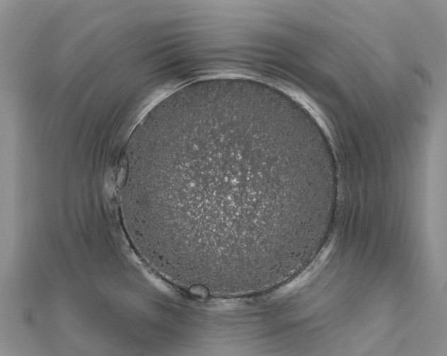 X0000112721385200909031408