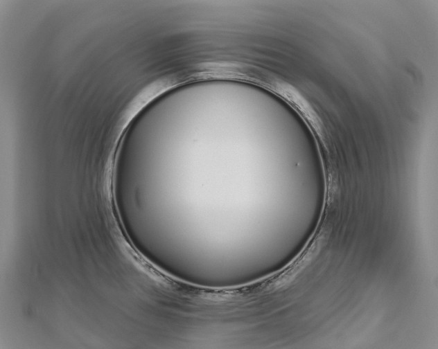 X0000112721386200909031408