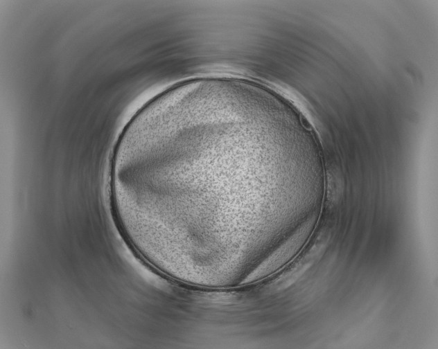 X0000112721387200909031408