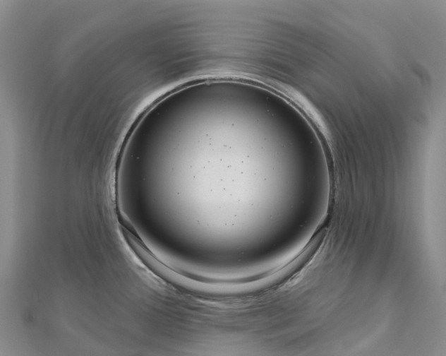 X0000112721388200909031408