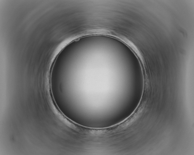 X0000112721389200909031408