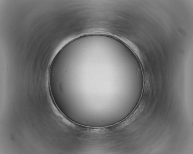 X0000112721390200909031408