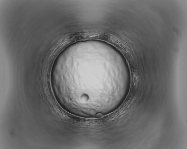 X0000112721393200909031407