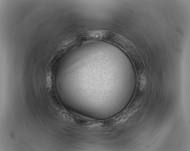 X0000112721394200909031407