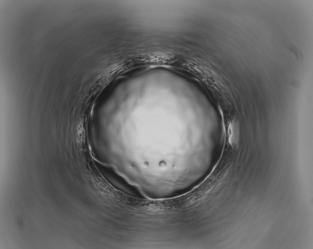 X0000112721395200909031407