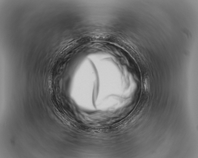 X0000112721396200909031407