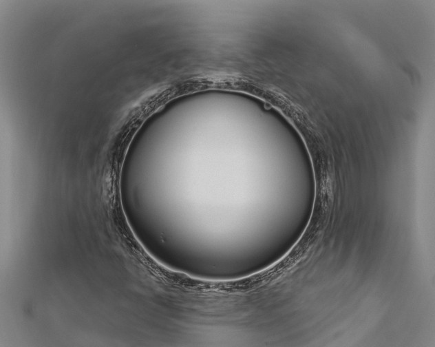 X0000112721398200909031407