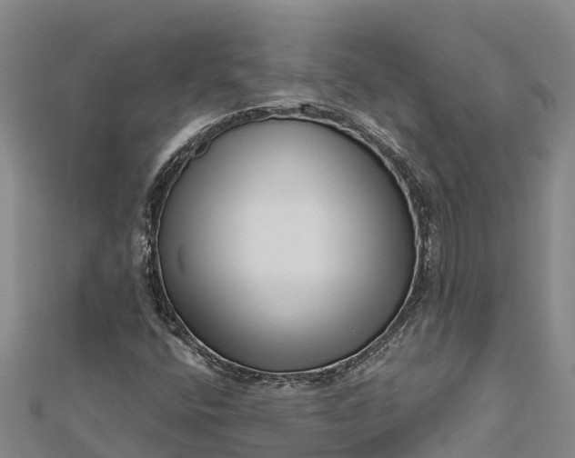 X0000112721400200909031407