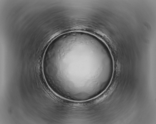 X0000112721401200909031407