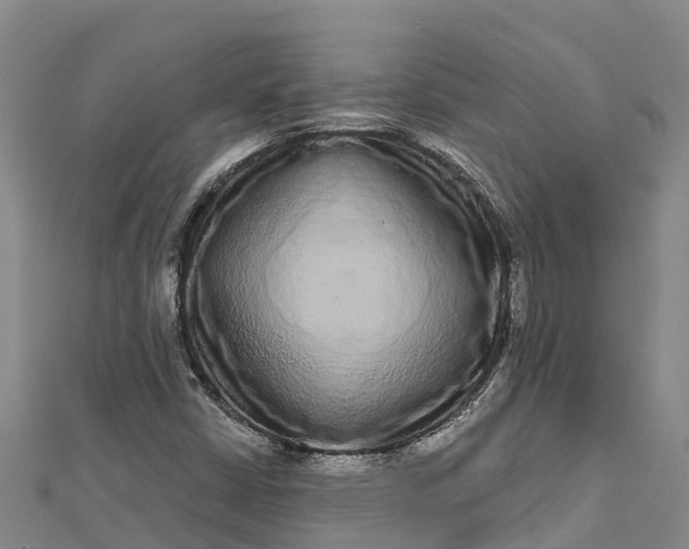 X0000112721402200909031407