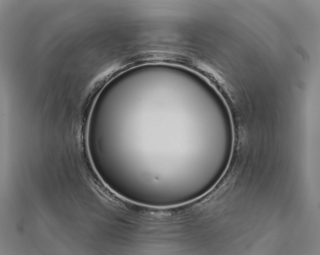 X0000112721403200909031407