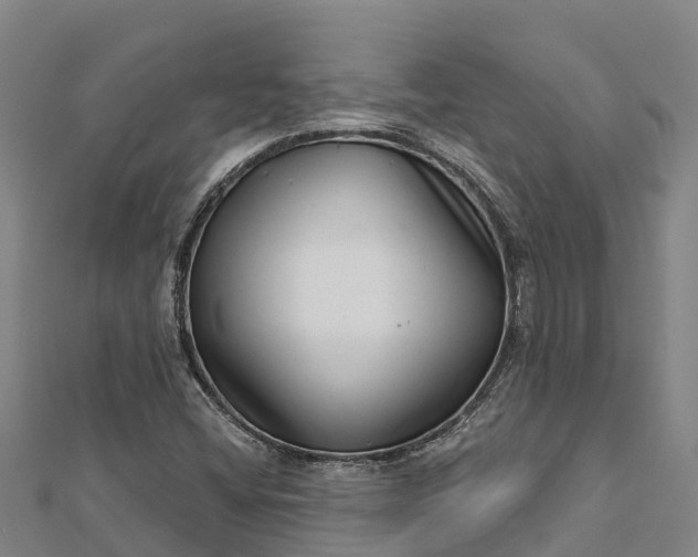 X0000112721404200909031407