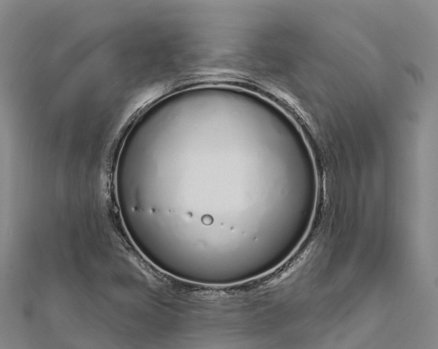 X0000112721405200909031407