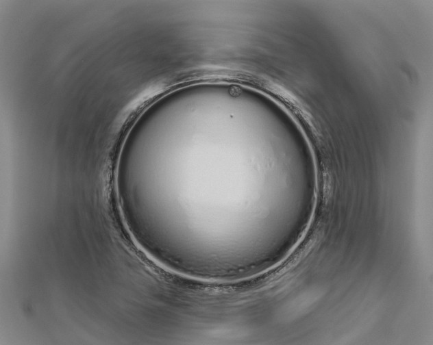 X0000112721411200909031407