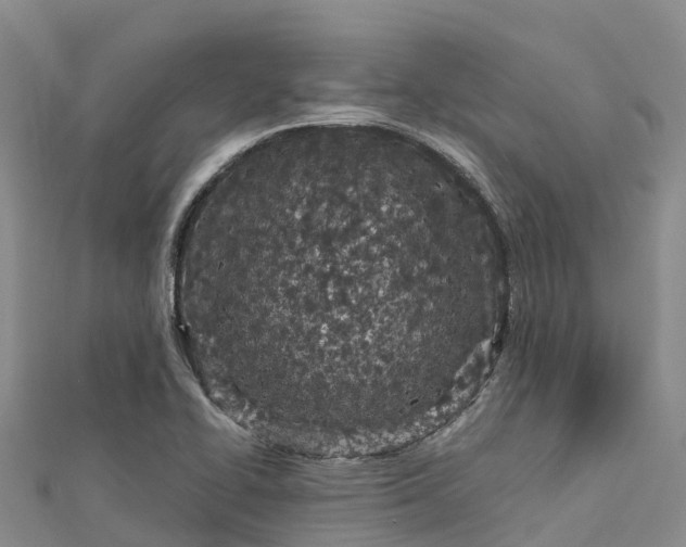 X0000112721414200909031407