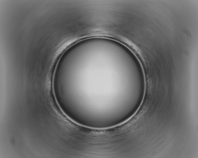 X0000112721415200909031407