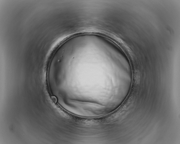 X0000112721416200909031407