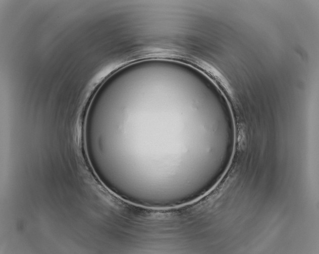 X0000112721419200909031407