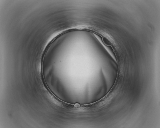 X0000112721420200909031407