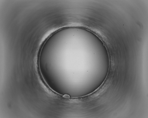 X0000112721422200909031407