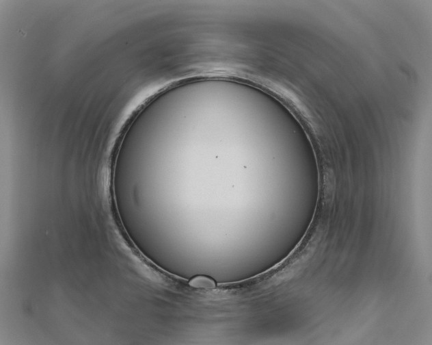 X0000112721424200909031407