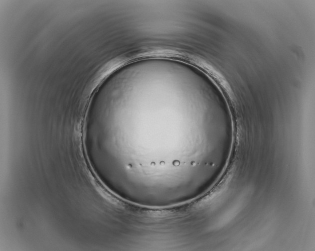 X0000112721425200909031407