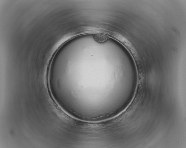 X0000112721427200909031407