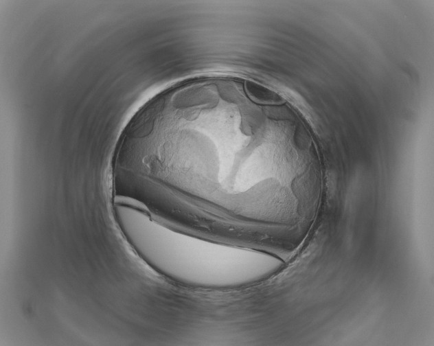 X0000112721428200909031408