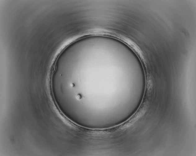 X0000112721429200909031408