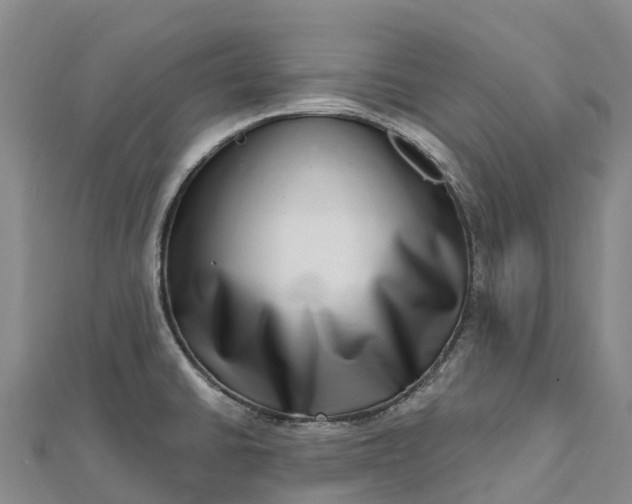 X0000112721430200909031408