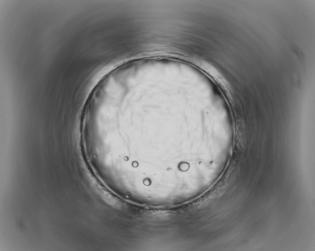 X0000112721431200909031408