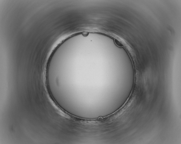 X0000112721432200909031408