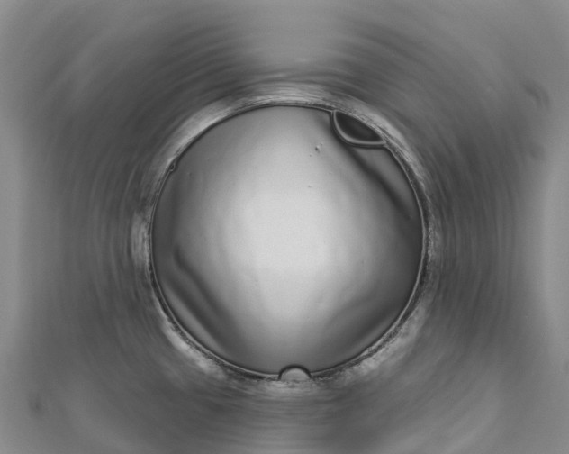 X0000112721433200909031408