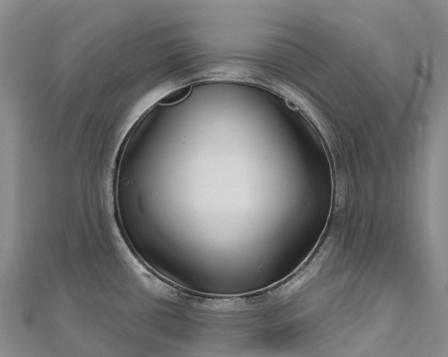 X0000112721434200909031408