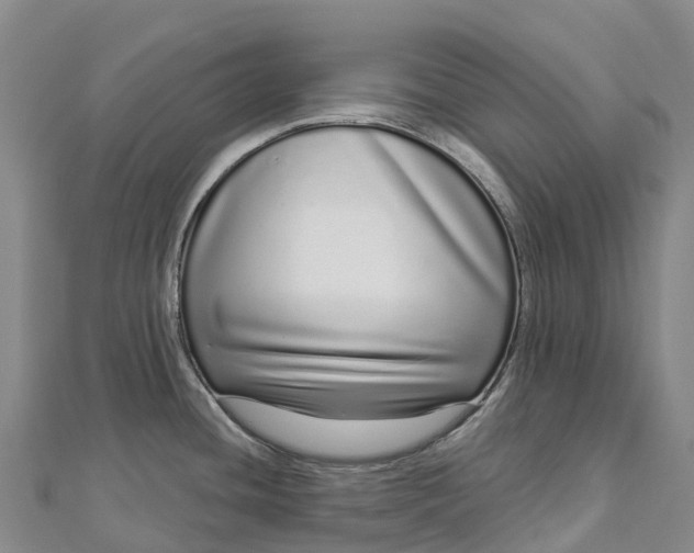 X0000112721436200909031408