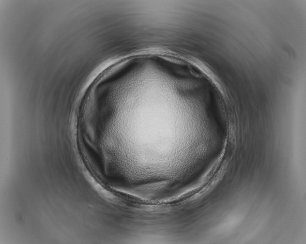 X0000112721438200909031408