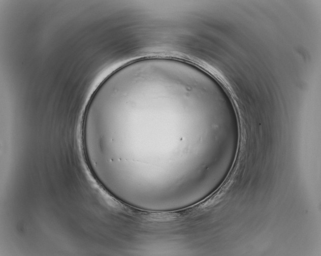 X0000112721440200909031408