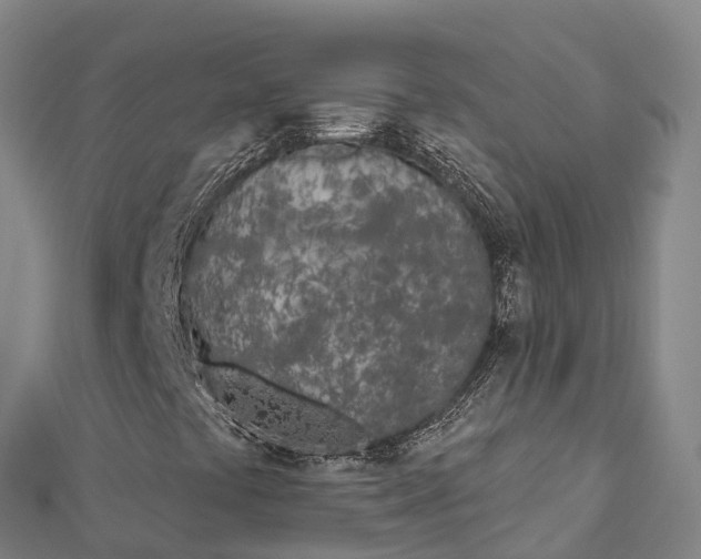 X0000112721441200909031407