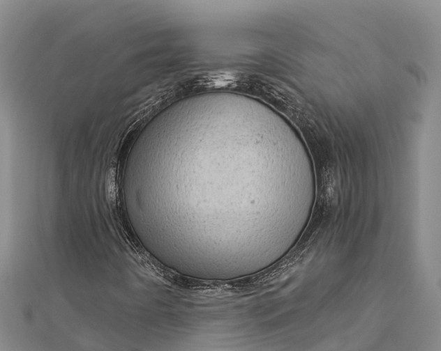 X0000112721442200909031407