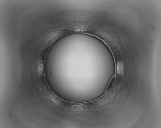 X0000112721444200909031407