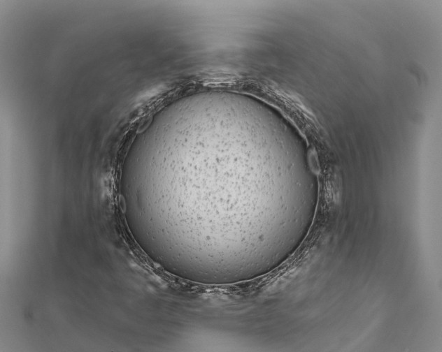 X0000112721445200909031407