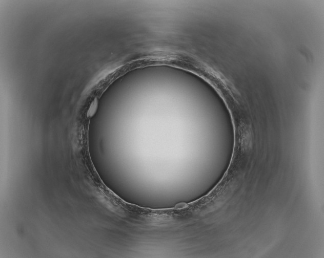 X0000112721448200909031407