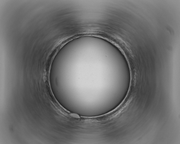 X0000112721449200909031407