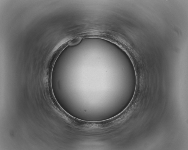 X0000112721450200909031407